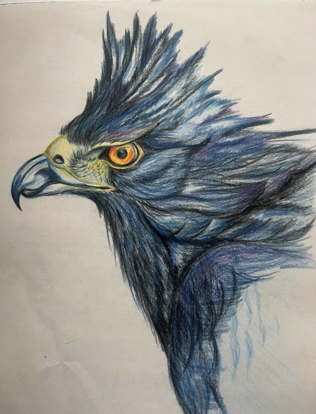 Blue Raptor